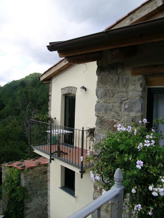 B&B Il Tulipano Polverara 외부 사진