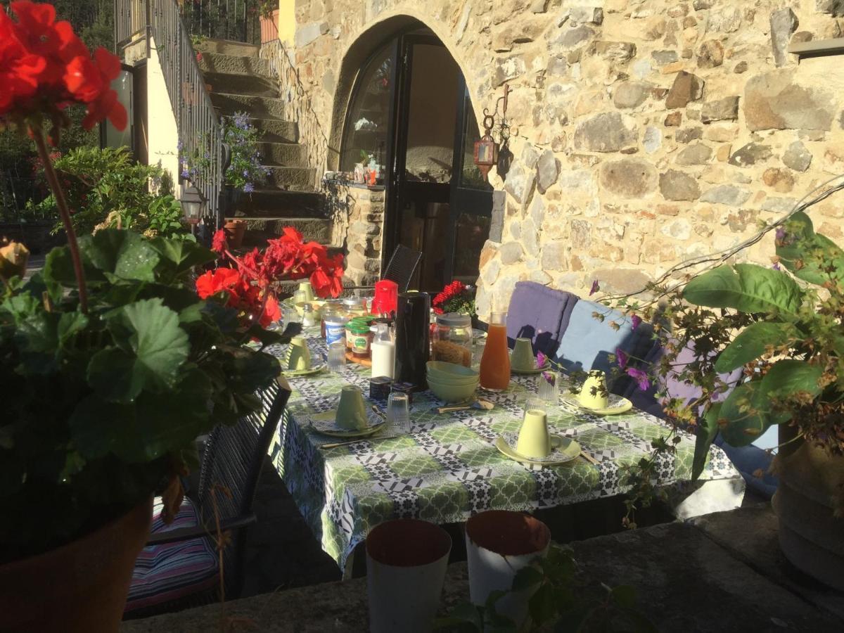 B&B Il Tulipano Polverara 외부 사진